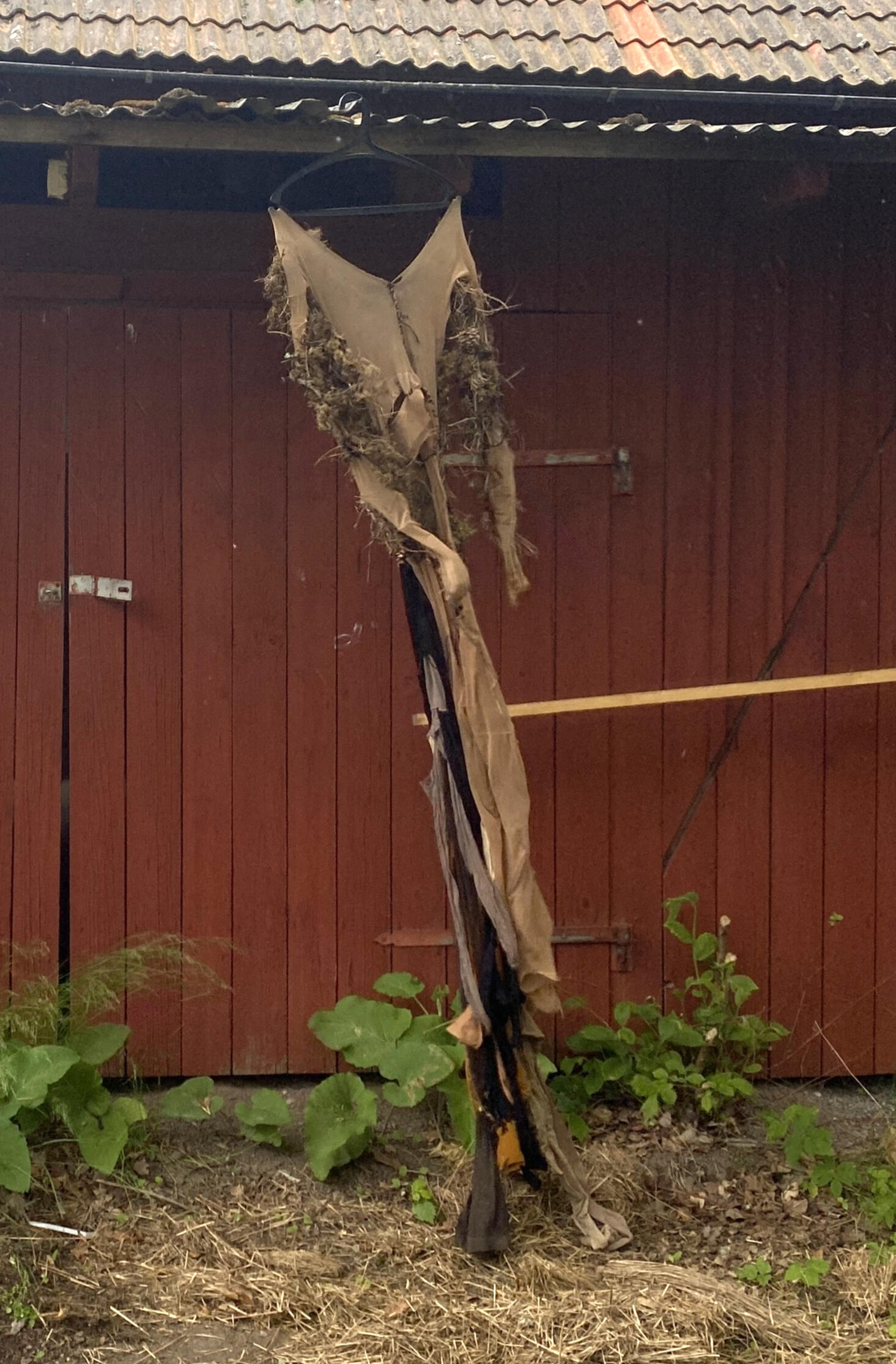 Ömsar liv/Ömsar liv (2025) Ömsar liv/Ömsar liv (2025)